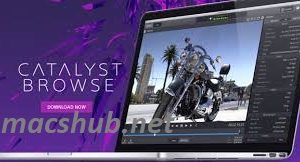 Catalyst Browse Suite 2025.3